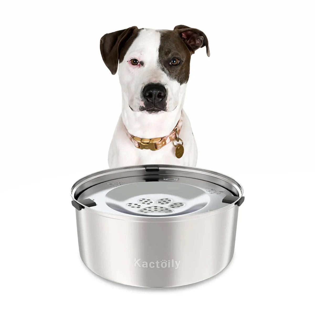 Kactoily Stainless Steel Slow Drinking Dog Water Bowl