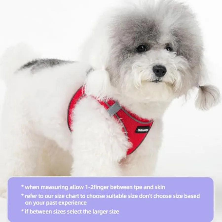 Soft Reflective Dog Harness And Leash Set For Puppies