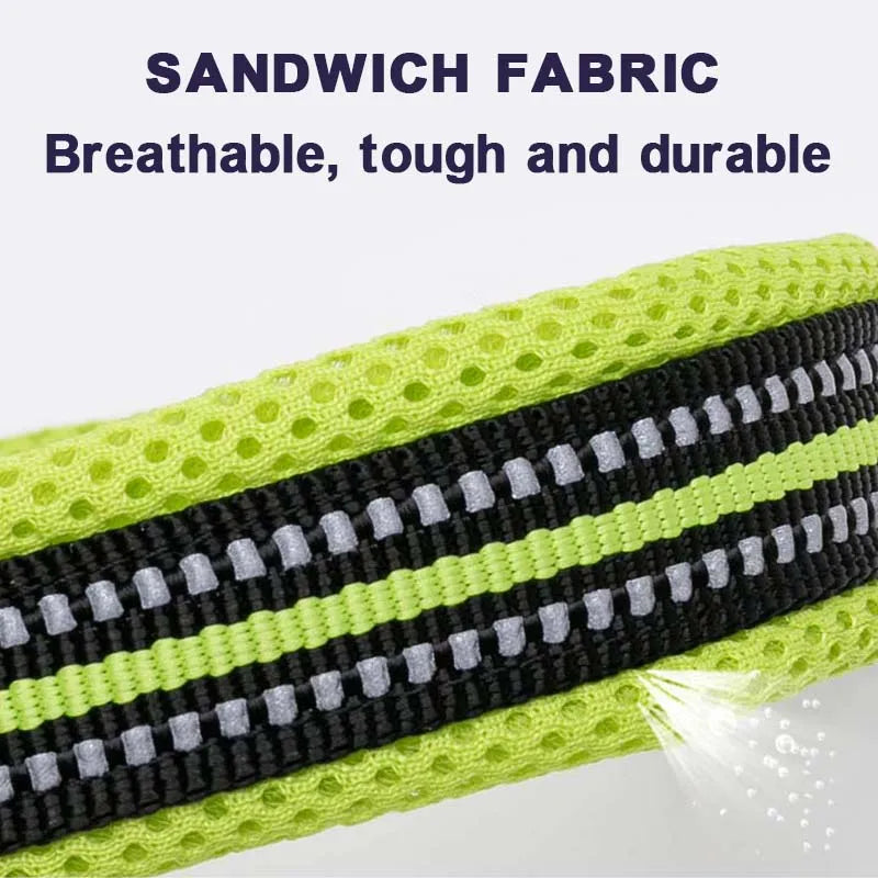Winhyepet Padded Reflective Dog Collar With Comfortable Nylon Strap