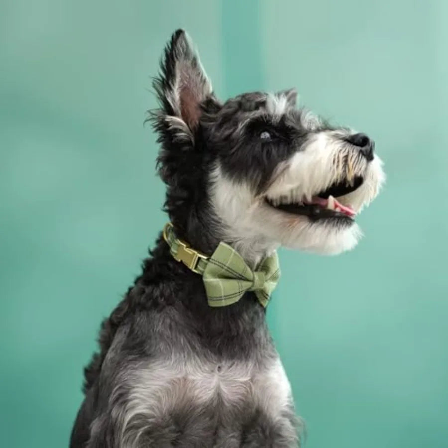 Adjustable Plaid Dog Harness With Collar And Leash Set