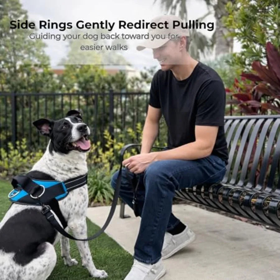 Adjustable Padded Dog Harness With Reflective Three Clip Buckles