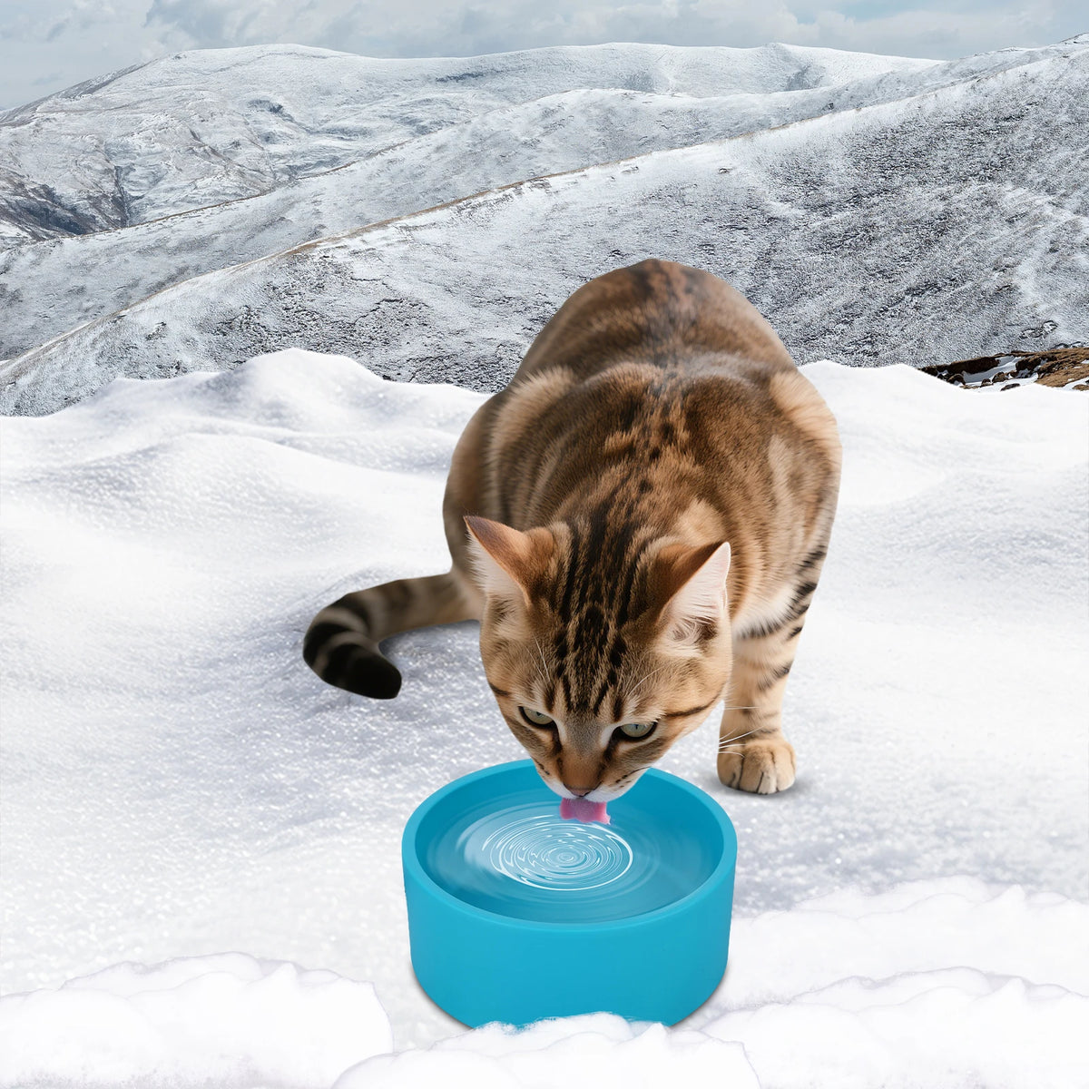 Heated Antifreeze Pet Water Bowl For Dogs And Cats