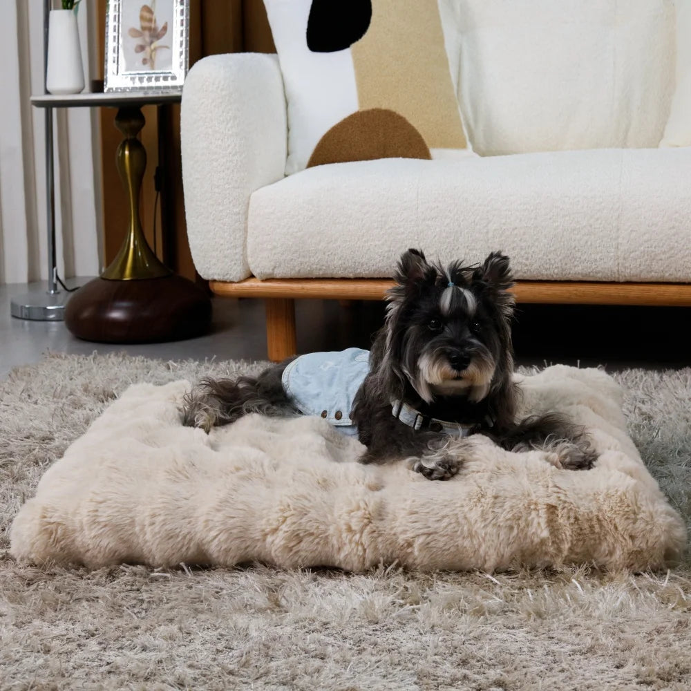 Borwart Ultra Plush Washable Dog Bed With Removable Cover