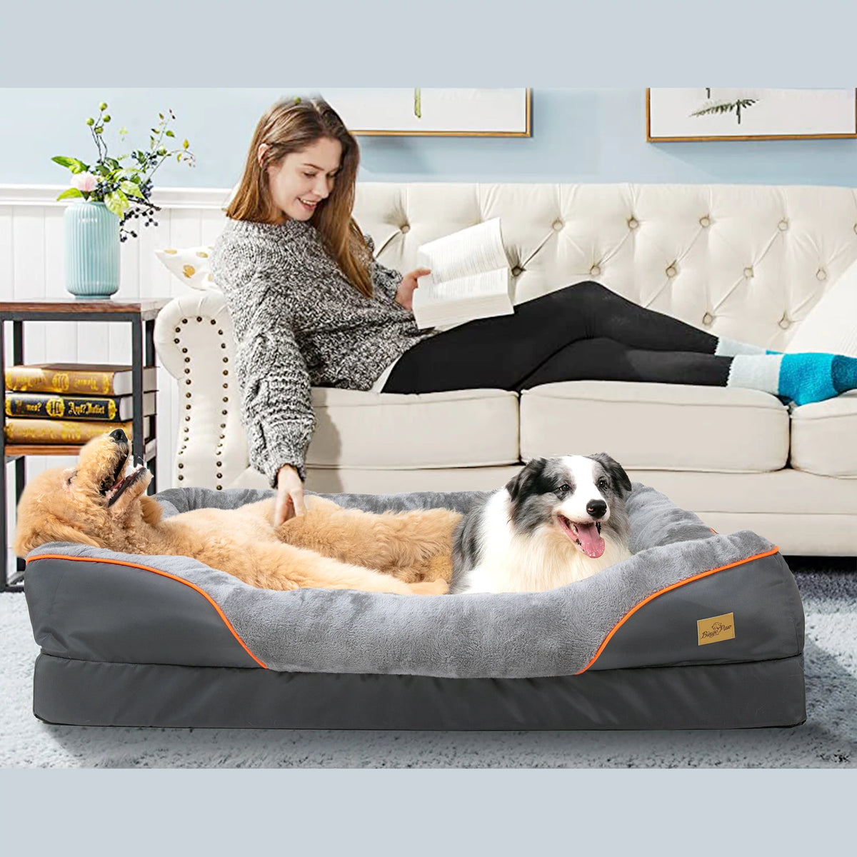 BINGOPAW Soft Comfortable Dog Bed Removable Washable Fleece Cover Waterproof