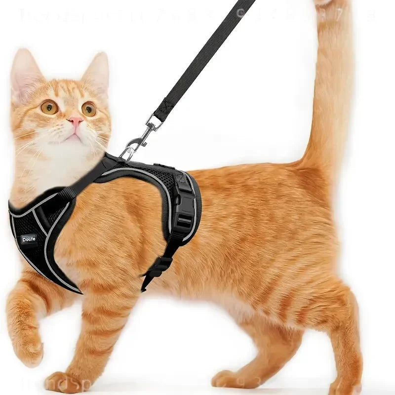 Breathable Adjustable Cat Harness And Durable Nylon Leash