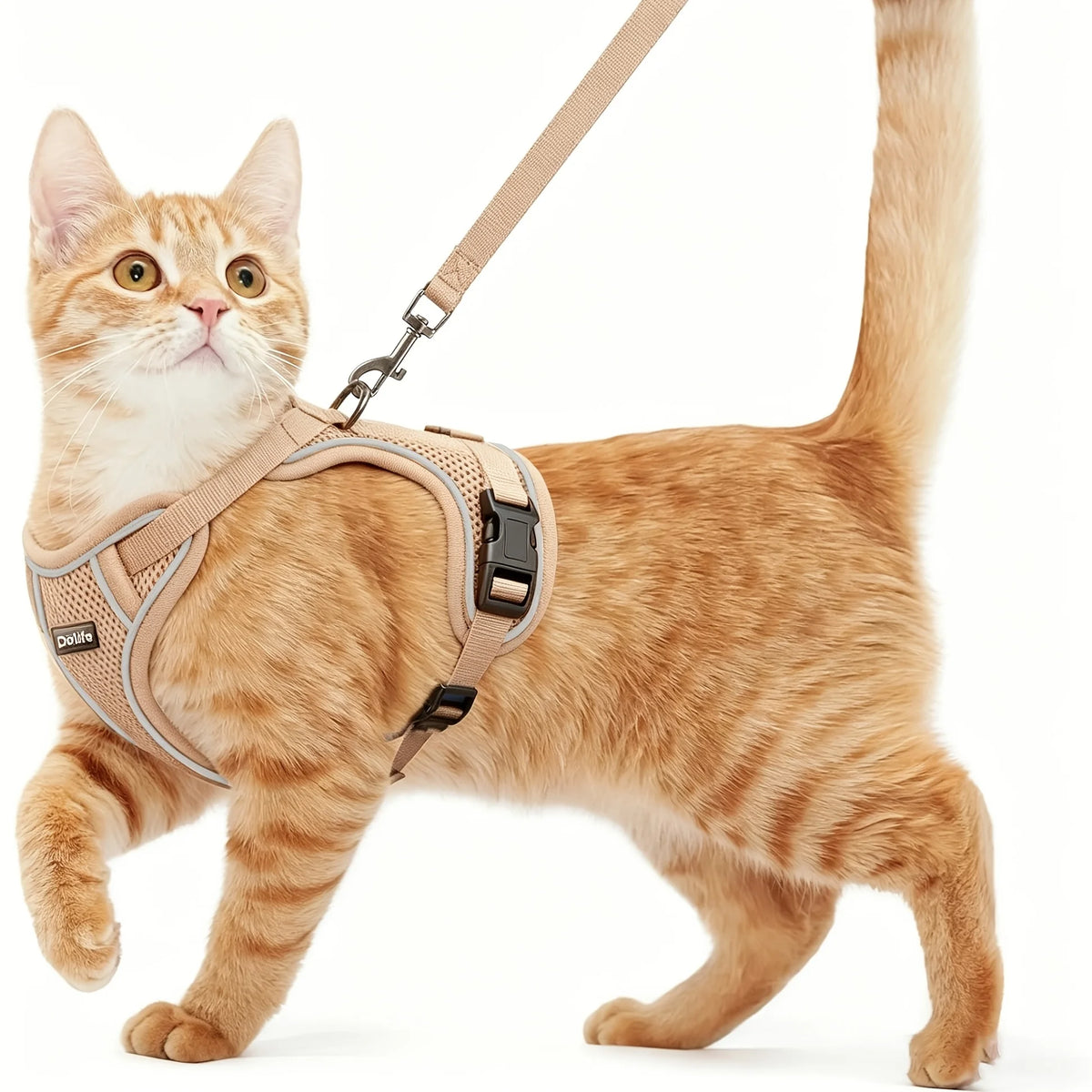 Breathable Adjustable Cat Harness And Durable Nylon Leash