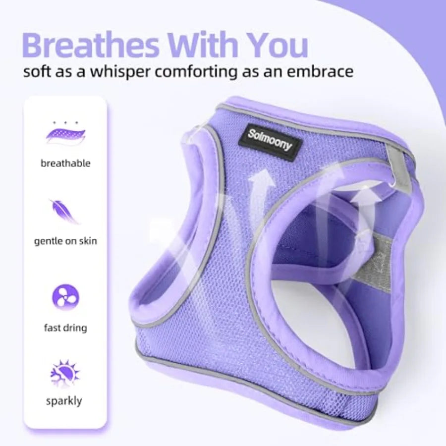 Sparkly Soft Step In Reflective Breathable Puppy Harness With Leash