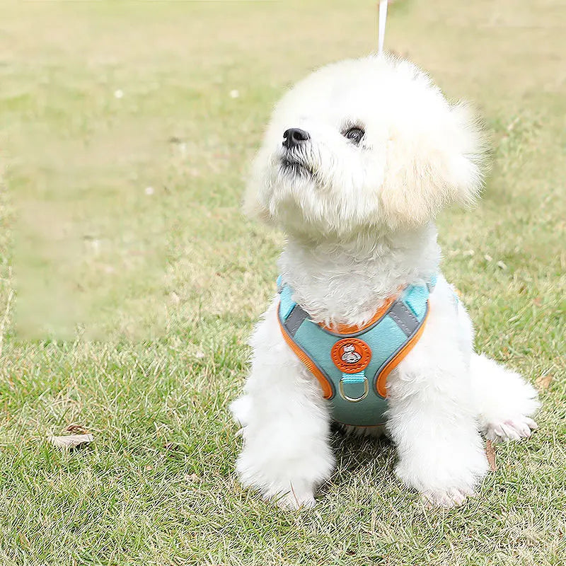 Adjustable Quick Release Dog Harness With Soft Webbing Leash