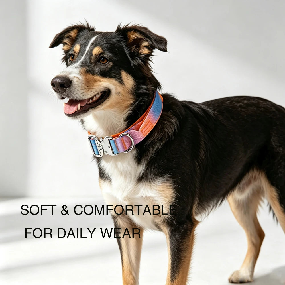 Heavy Duty Tactical Dog Collar With Handle Metal D Ring