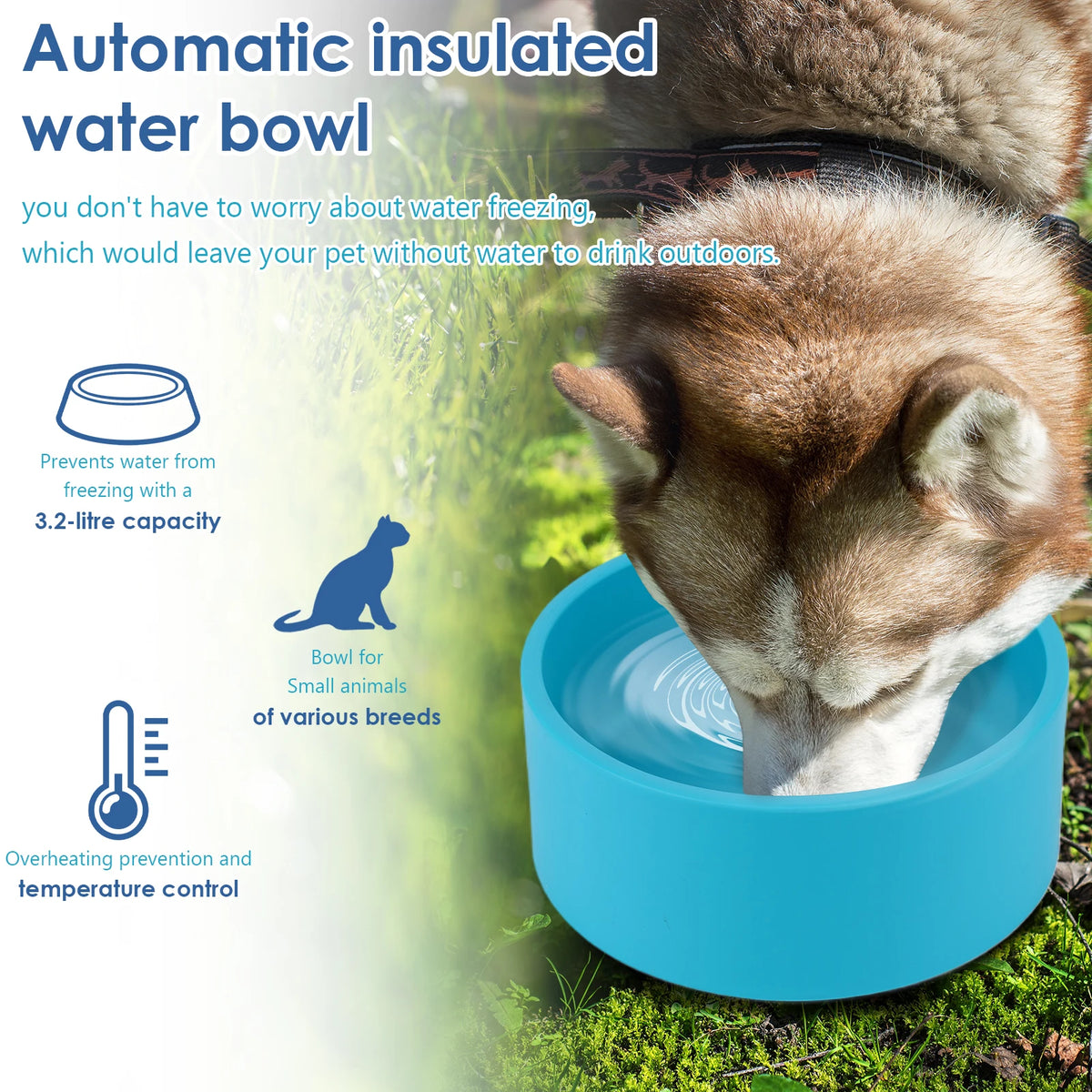 Heated Anti Freeze Pet Water Bowl For Dogs And Cats