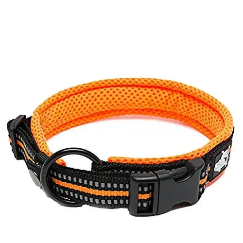TrueLove Padded Reflective Adjustable Nylon Pet Collar