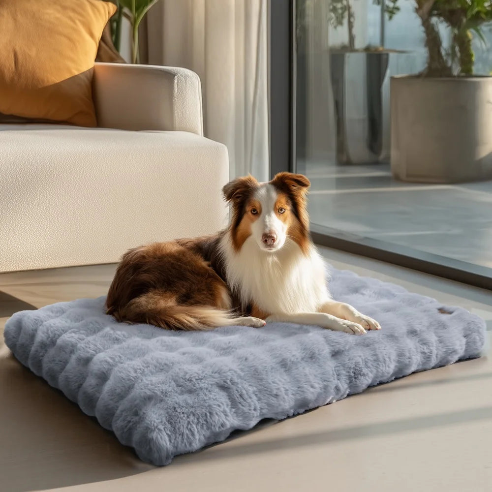 Borwart Ultra Plush Washable Dog Bed With Removable Cover