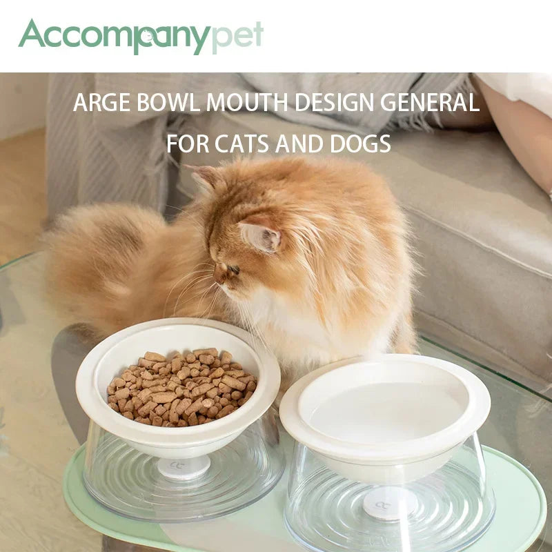 Tilted Raised Cat Bowl Non Slip Base And Removable Tray