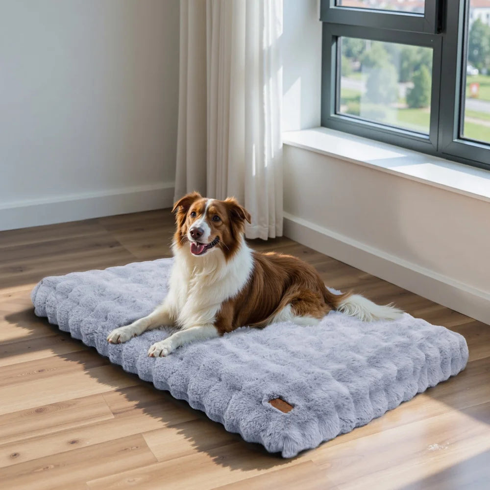 Borwart Ultra Plush Washable Dog Bed With Removable Cover