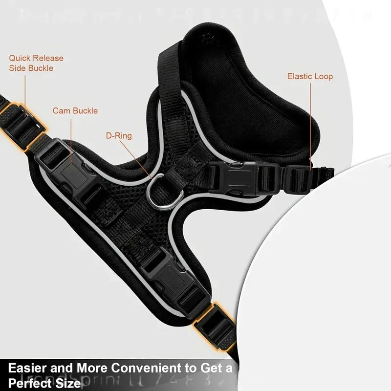 Breathable Adjustable Cat Harness And Durable Nylon Leash