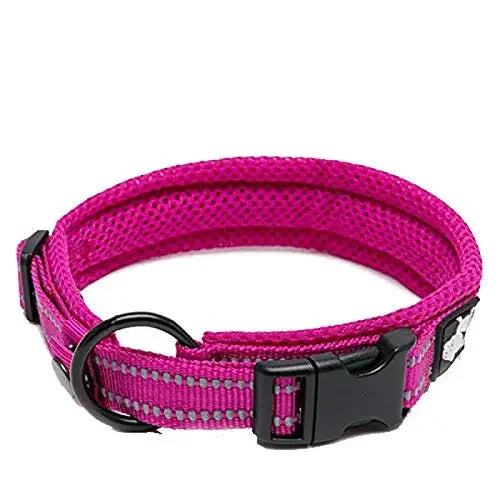 TrueLove Padded Reflective Adjustable Nylon Pet Collar