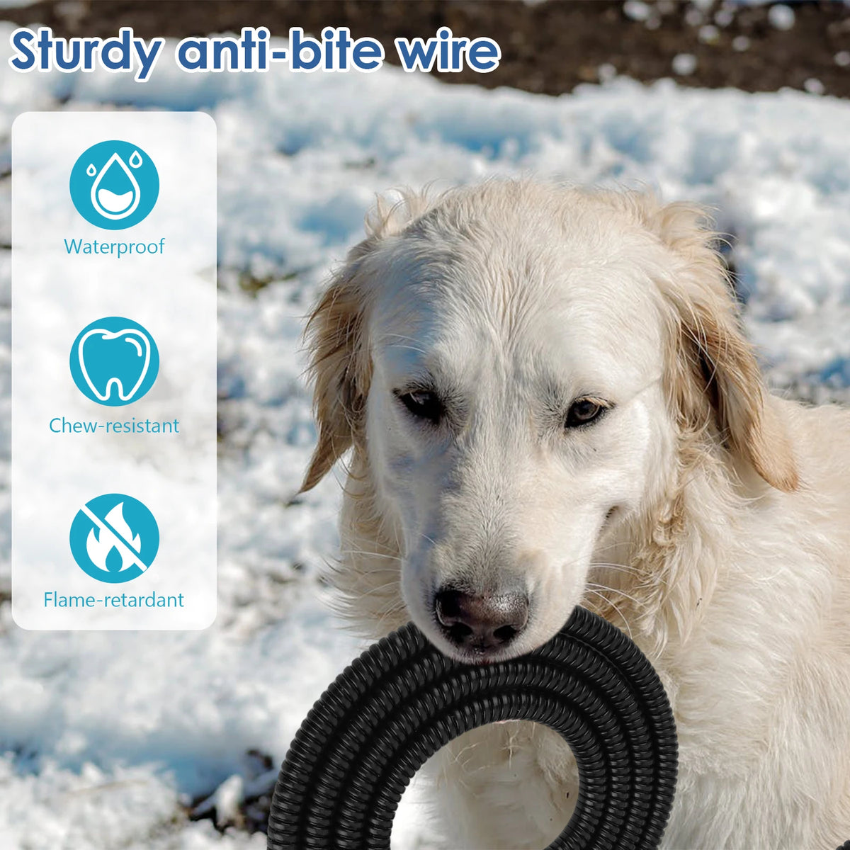 Heated Anti Freeze Pet Water Bowl For Dogs And Cats