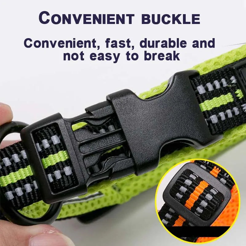 Winhyepet Padded Reflective Dog Collar With Comfortable Nylon Strap
