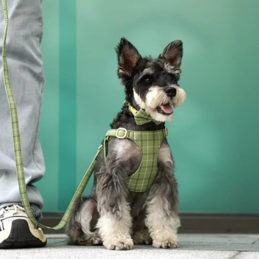 Adjustable Plaid Dog Harness With Collar And Leash Set