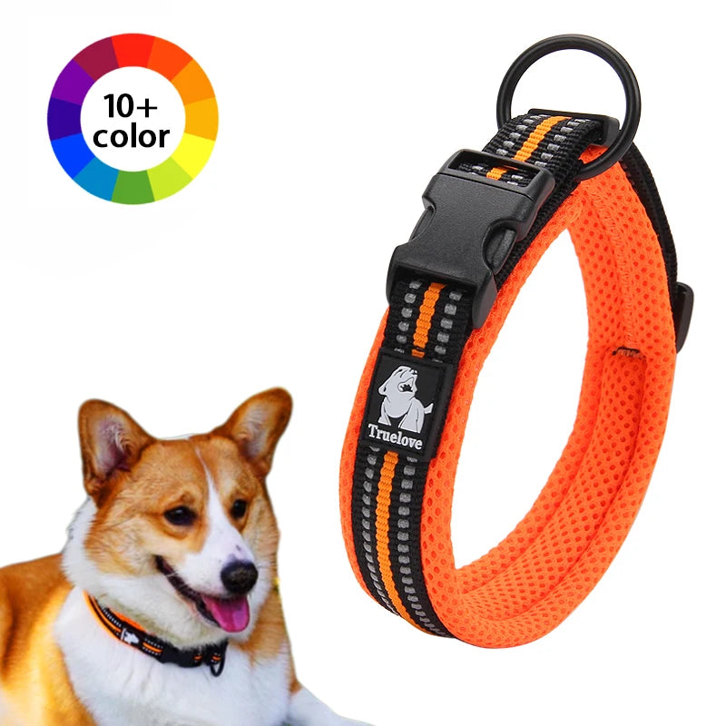 Winhyepet Padded Reflective Dog Collar With Comfortable Nylon Strap