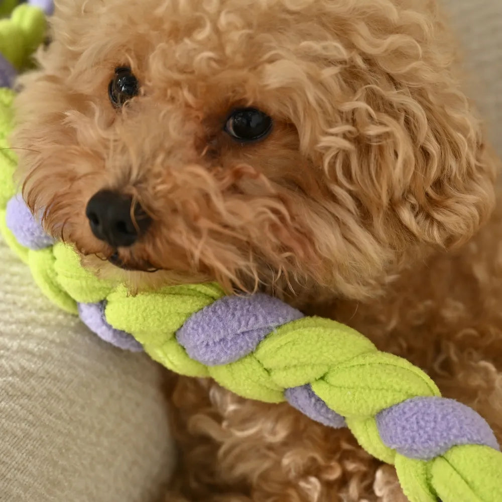 Durable Woven Dog Rope Tug Toy With Secure Loop Handle