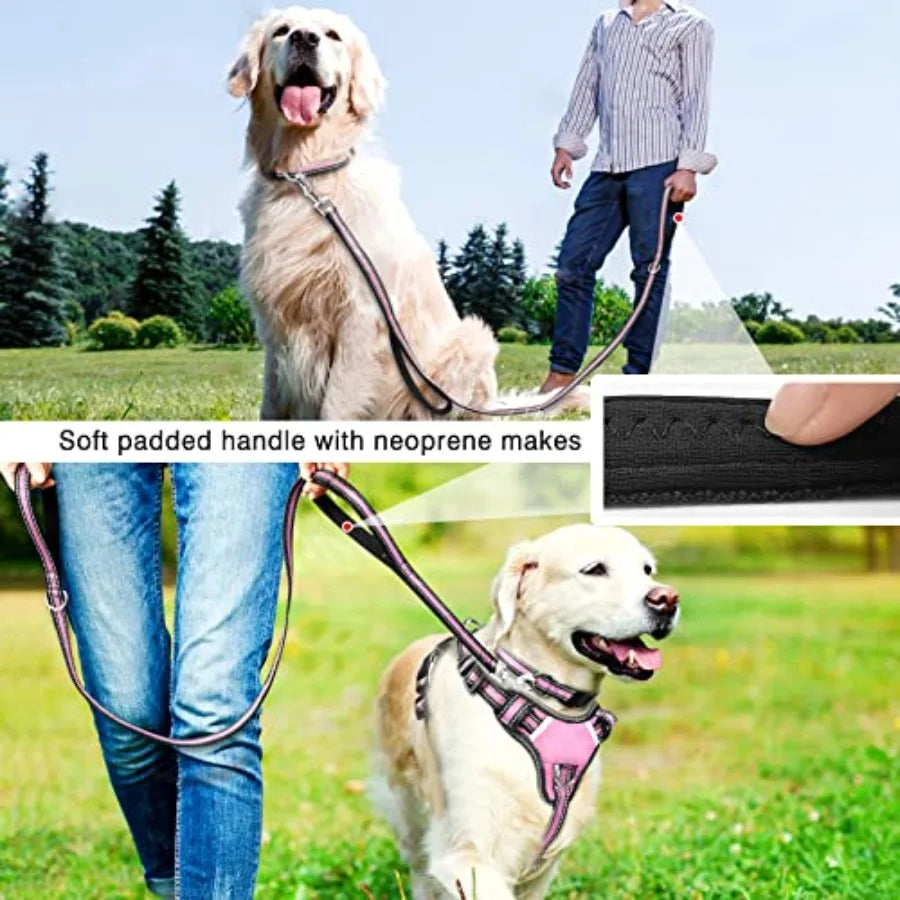 Reflective Nylon Dog Harness And Leash Set For Puppies