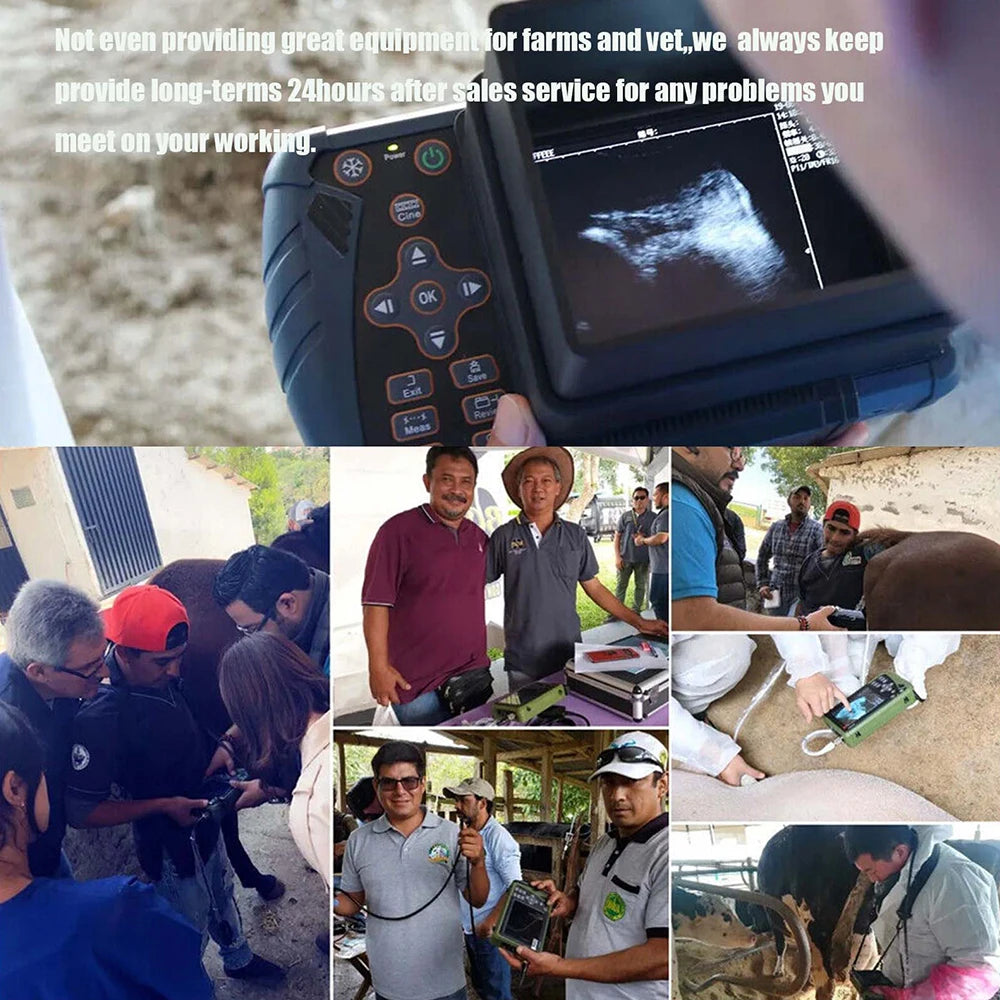 Dawei Portable Veterinary Ultrasound Scanner For Livestock And Pets