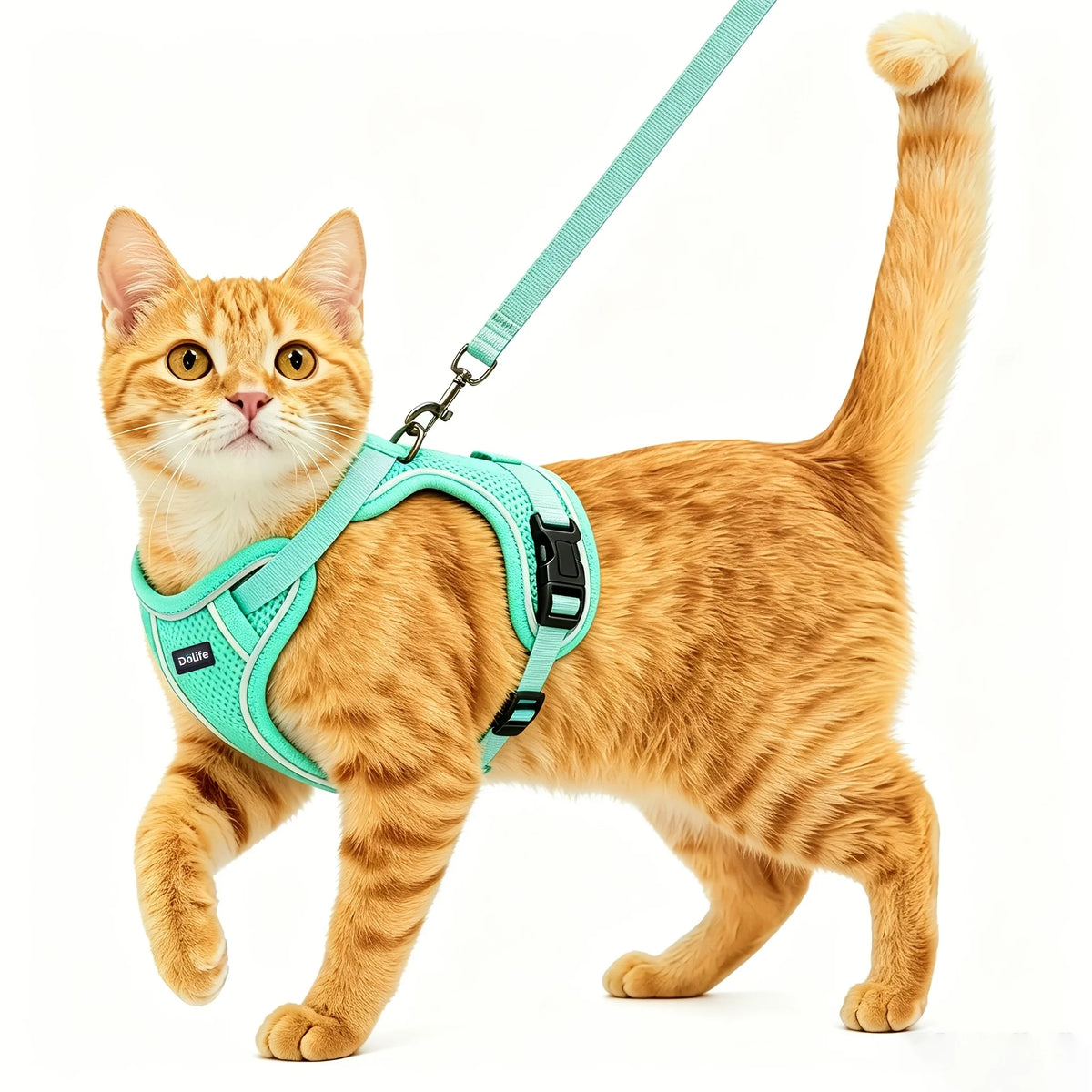 Breathable Adjustable Cat Harness And Durable Nylon Leash
