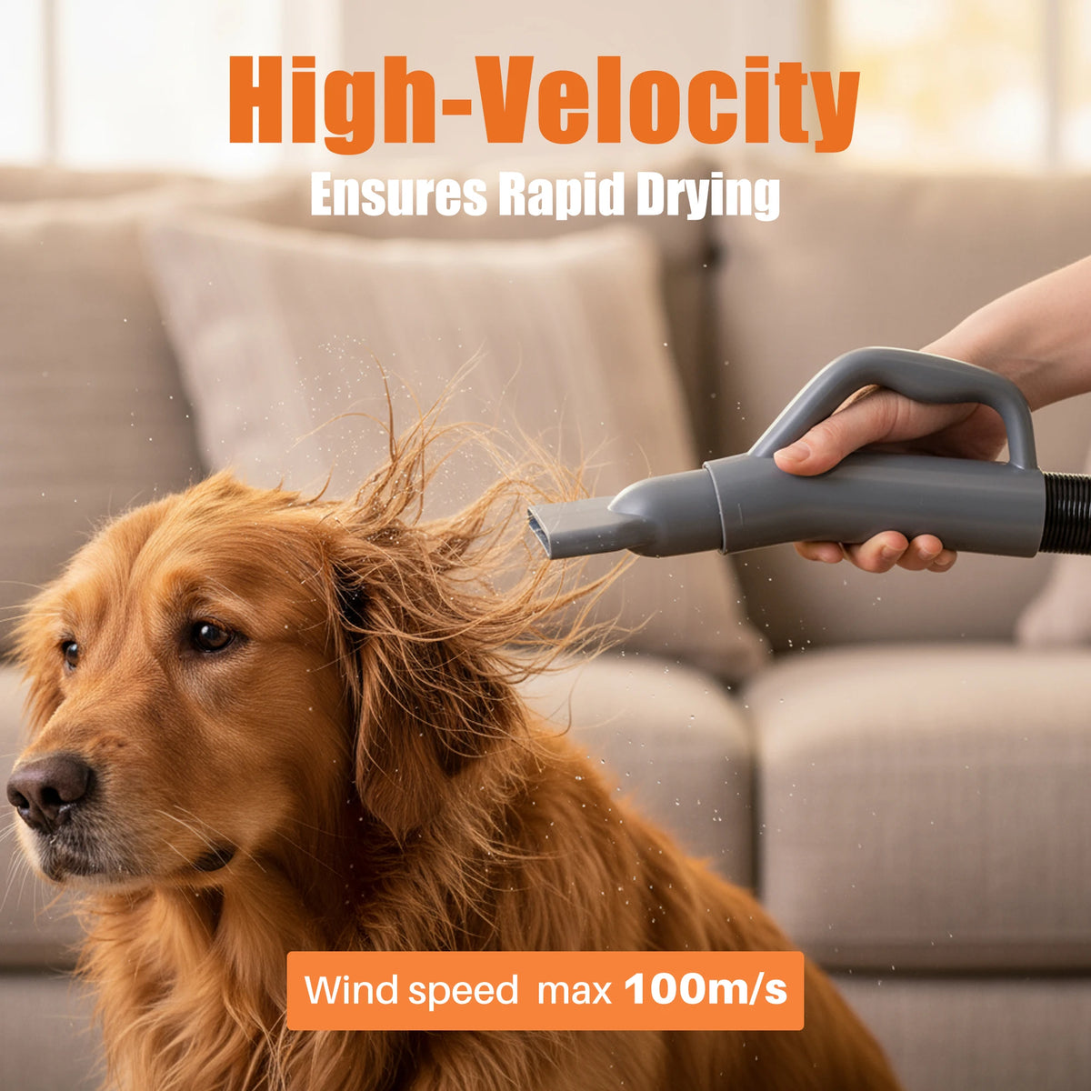 Low Noise Pet Hair Dryer With Adjustable Temperature Settings