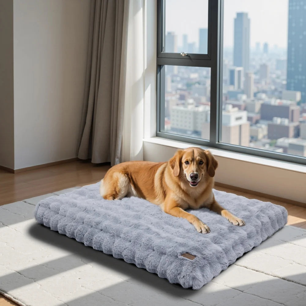 Borwart Ultra Plush Washable Dog Bed With Removable Cover