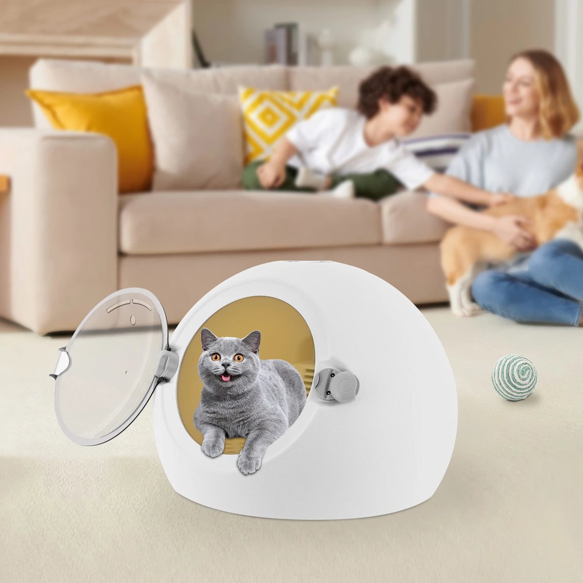 Advanced 600W Pet Grooming Dryer Box For Cats And Dogs