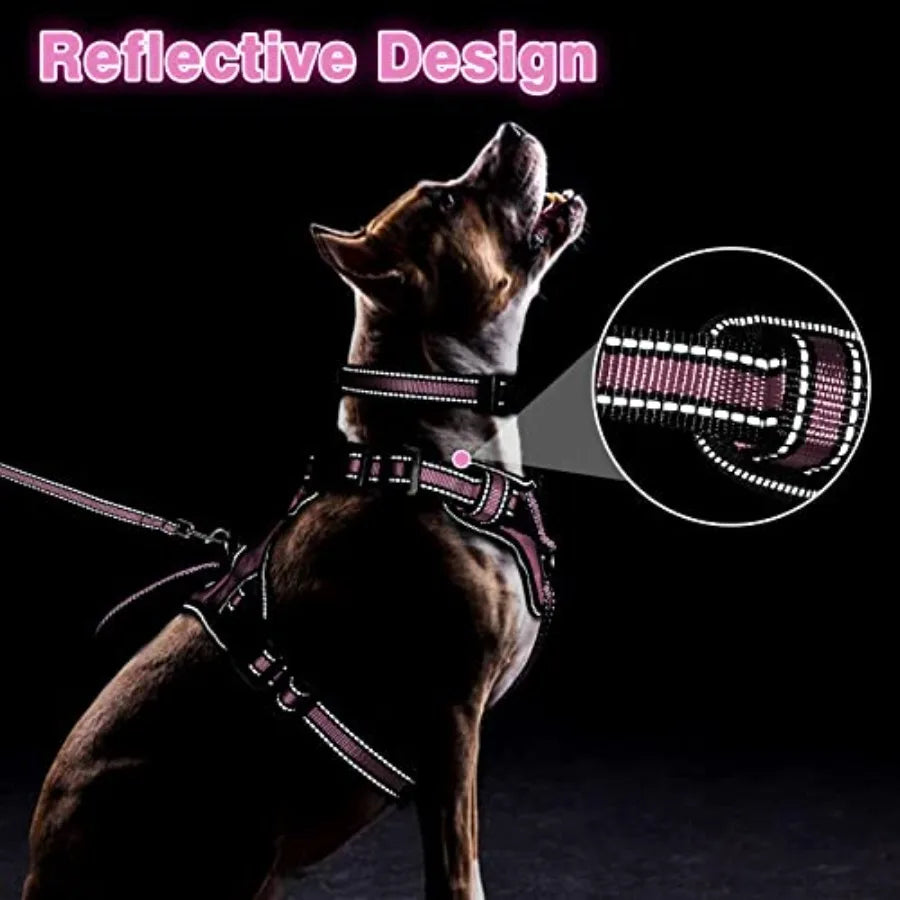 Reflective Nylon Dog Harness And Leash Set For Puppies