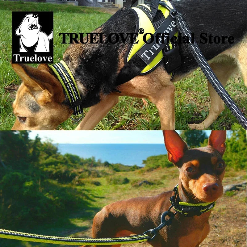 TrueLove Padded Reflective Adjustable Nylon Pet Collar