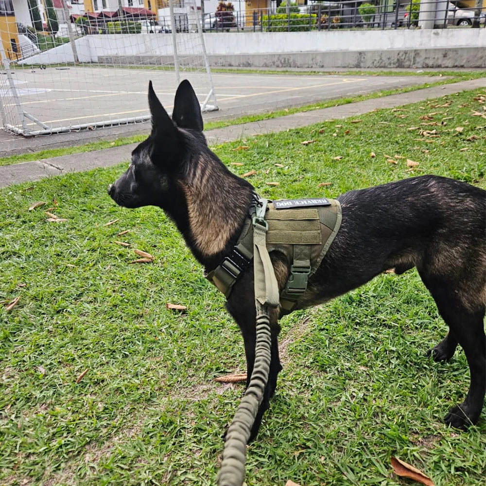 Petravel Tactical Dog Harness Leash Set for Military Pets