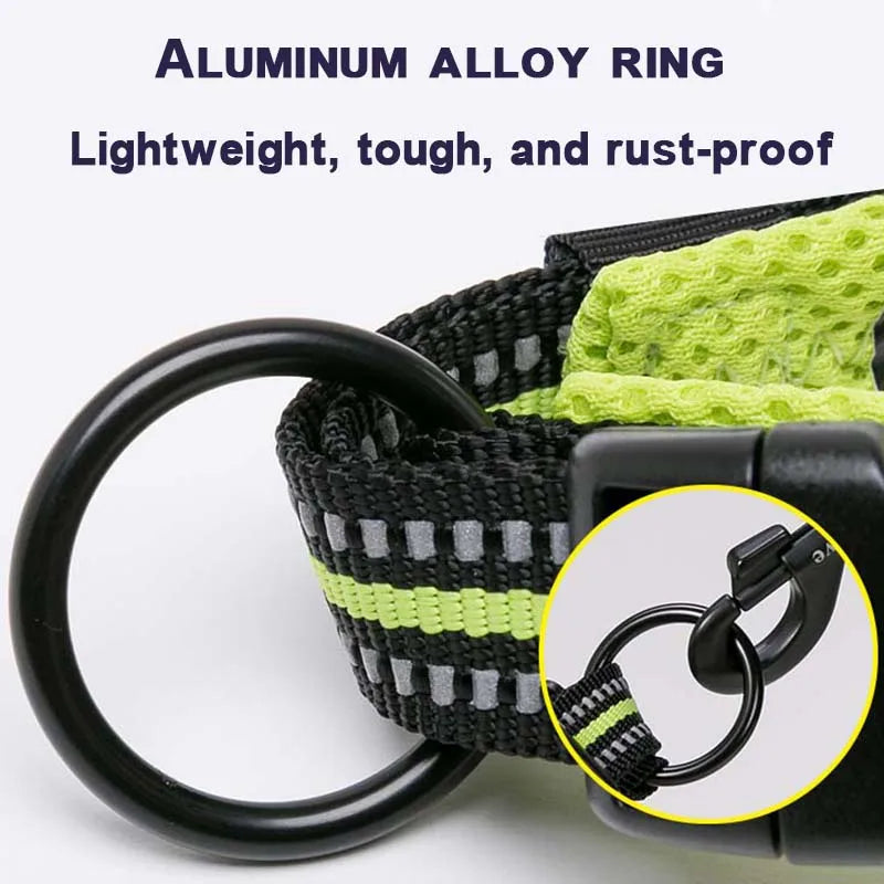 Winhyepet Padded Reflective Dog Collar With Comfortable Nylon Strap