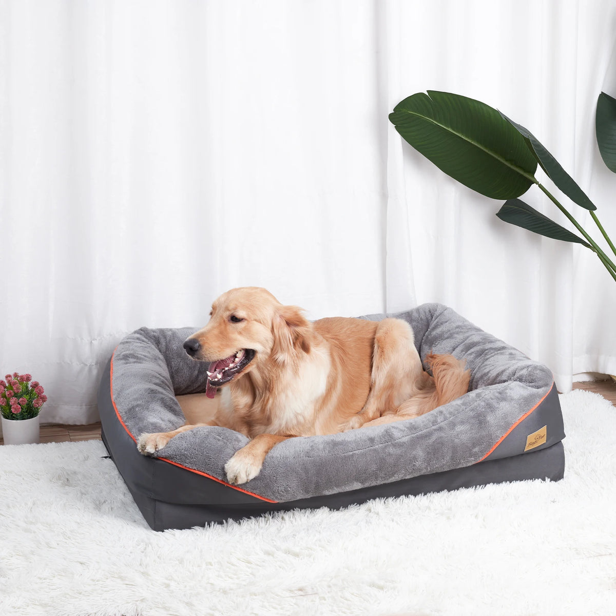 BINGOPAW Soft Comfortable Dog Bed Removable Washable Fleece Cover Waterproof