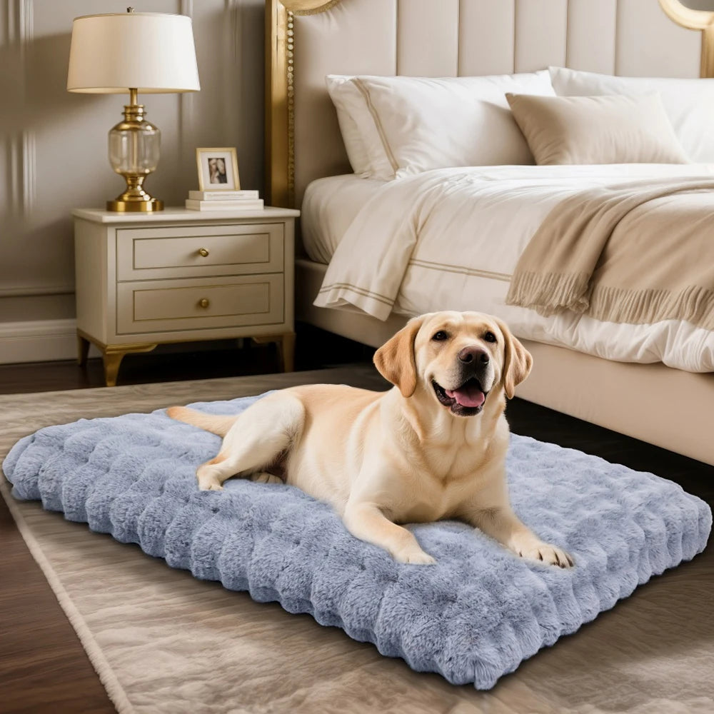 Borwart Ultra Plush Washable Dog Bed With Removable Cover