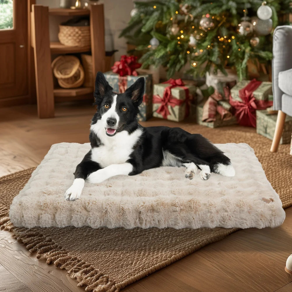 Borwart Ultra Plush Washable Dog Bed With Removable Cover