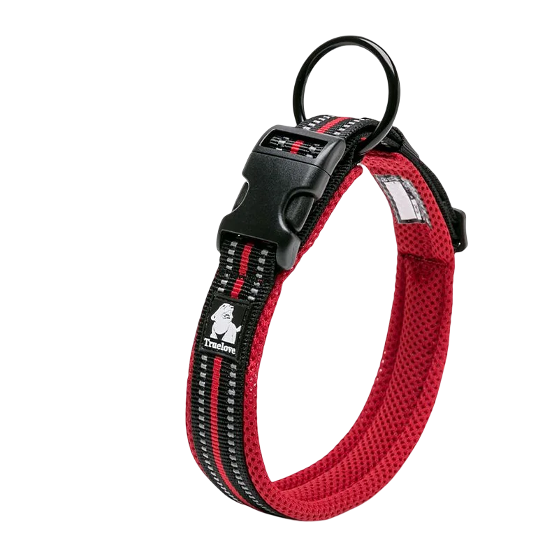 Winhyepet Padded Reflective Dog Collar With Comfortable Nylon Strap