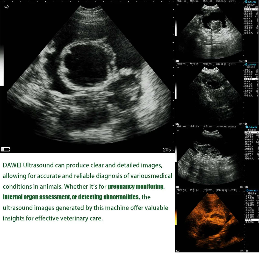 Dawei Portable Veterinary Ultrasound Scanner For Livestock And Pets