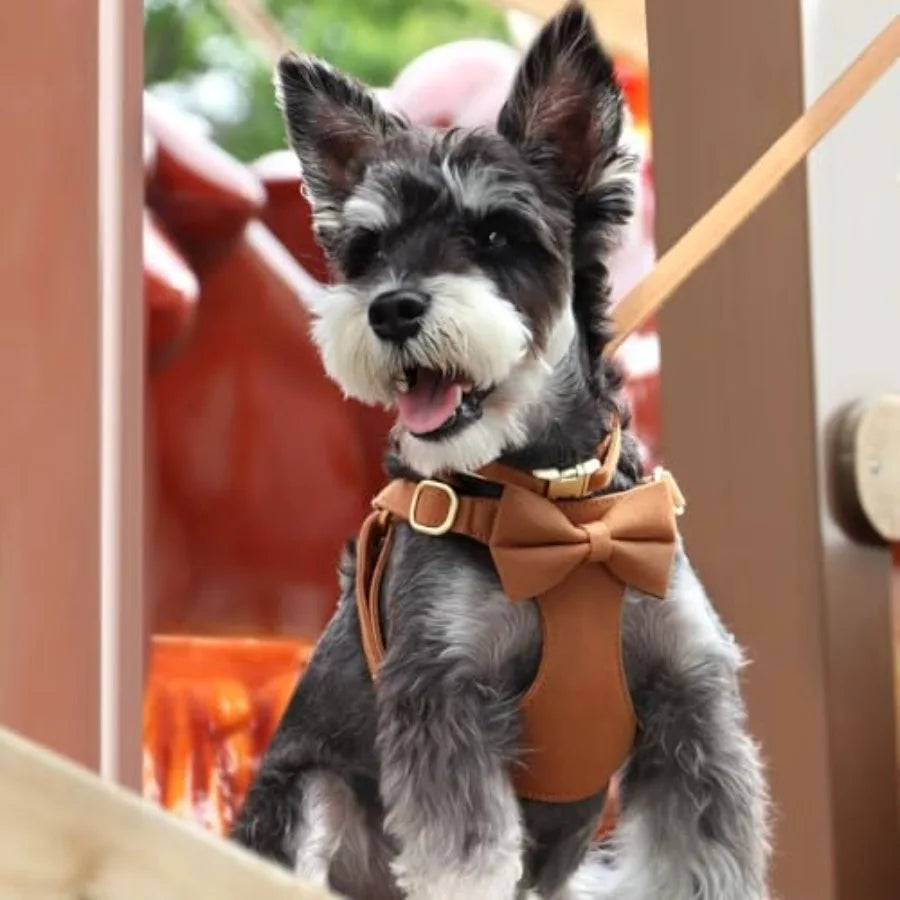 Adjustable Step In Nylon Dog Harness Collar Leash Set
