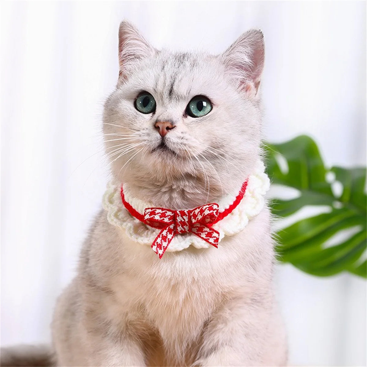 Adjustable Hand Knitted Bow Knot Collar for Puppy and Kitten