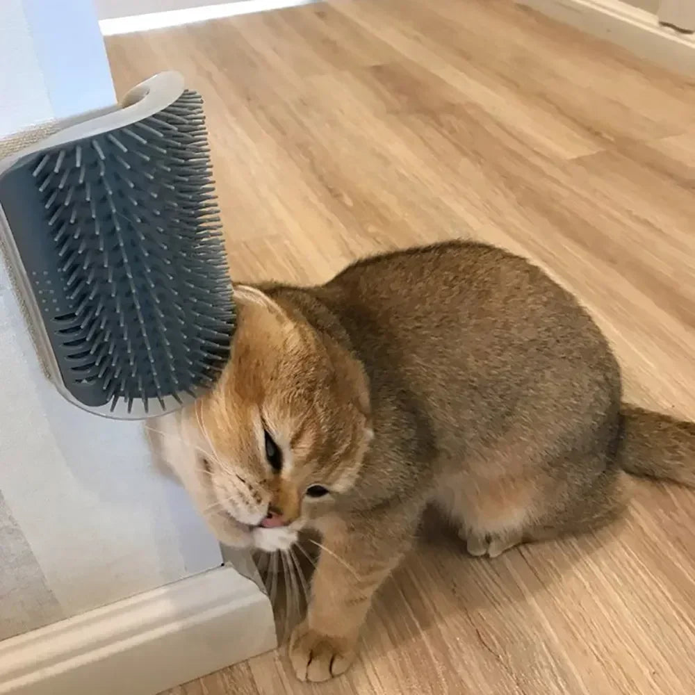 Cat Scratcher Massage Comb With Natural Catnip For Grooming