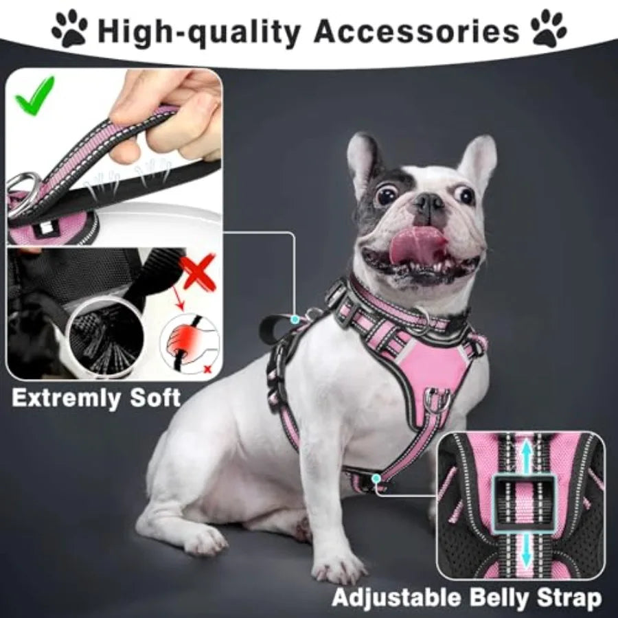 Reflective Nylon Dog Harness And Leash Set For Puppies