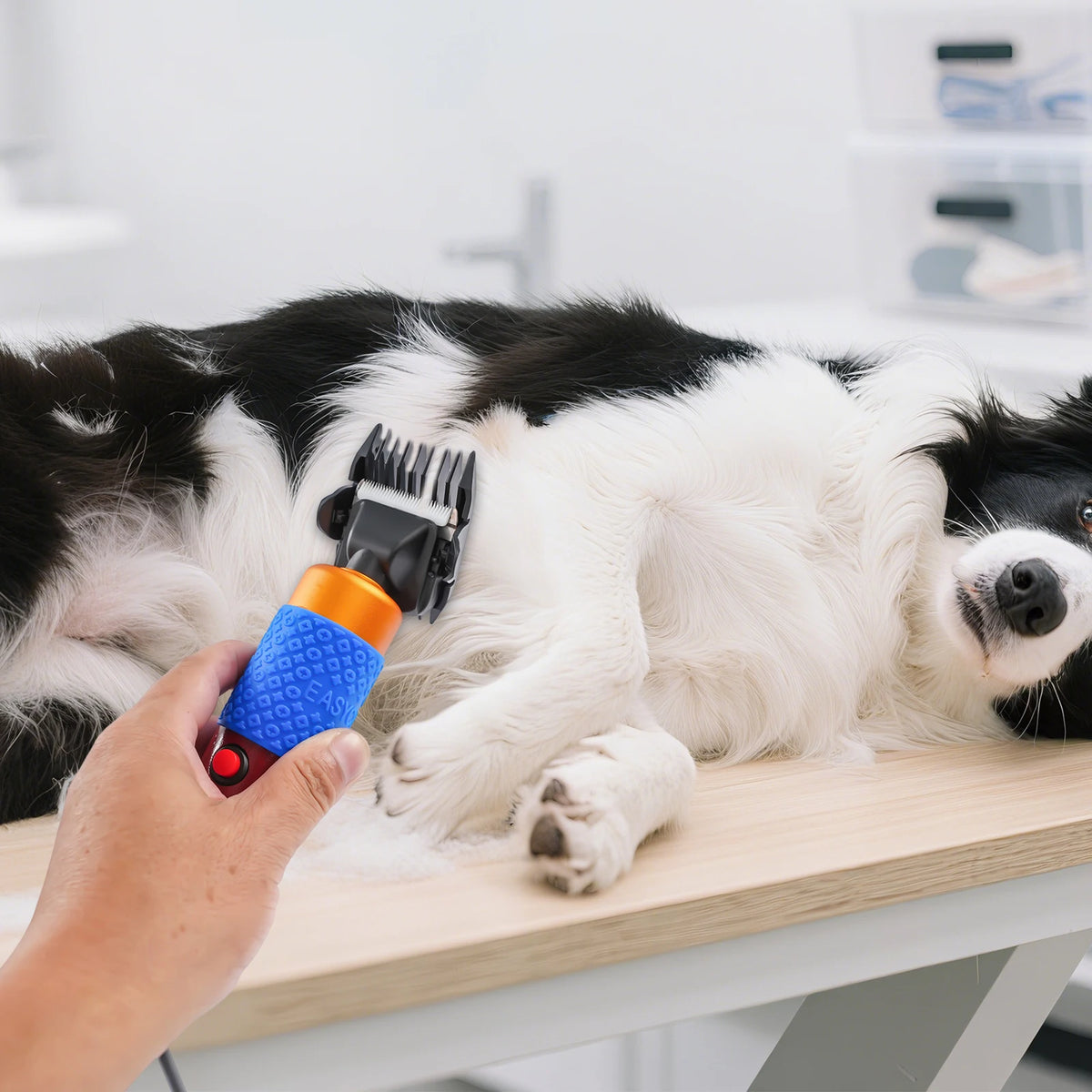 Electric Animal Grooming Clipper For Sheep Goats And Dogs