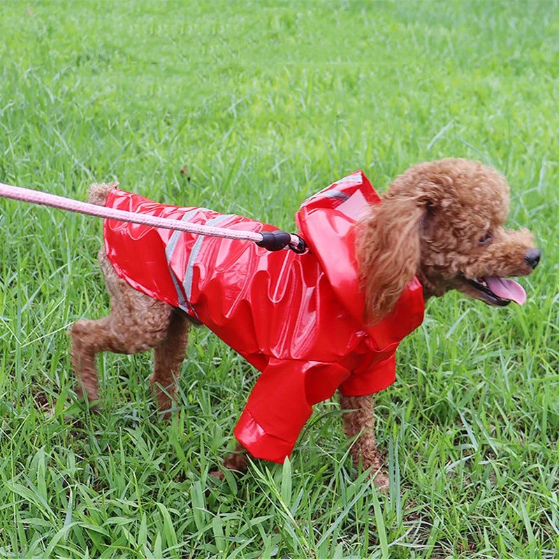 Waterproof Reflective Dog Raincoat Jacket for Small Dogs and Cats