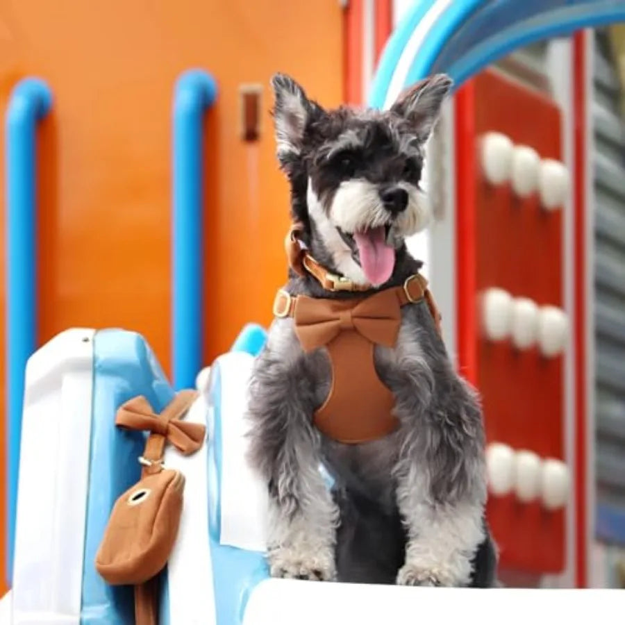 Adjustable Step In Nylon Dog Harness Collar Leash Set