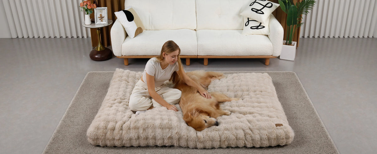 Borwart Ultra Plush Washable Dog Bed With Removable Cover