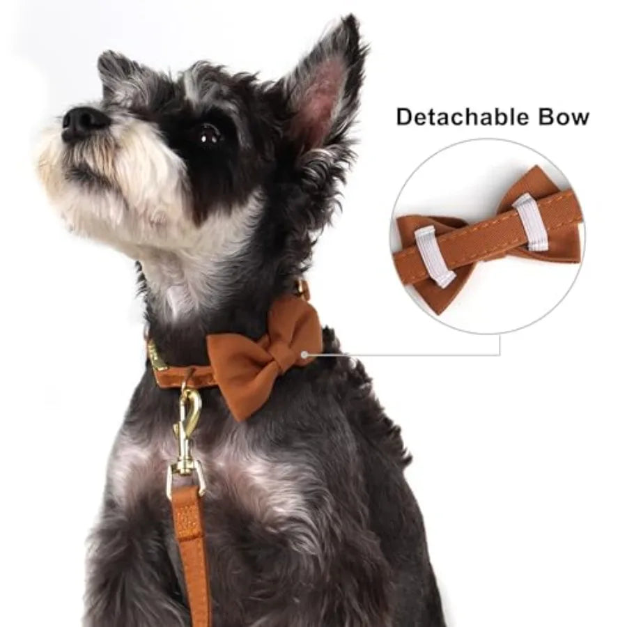 Adjustable Step In Nylon Dog Harness Collar Leash Set