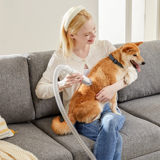 Professional Cordless Pet Grooming Clippers For Dogs And Cats